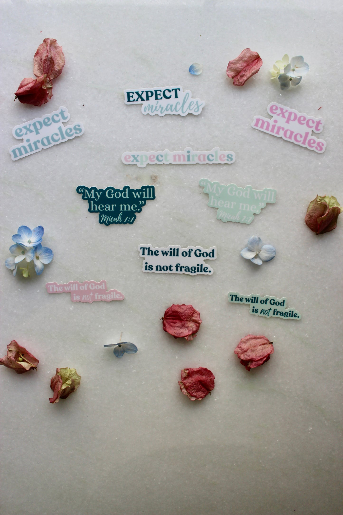 Sticker - The Will of God Is Not Fragile