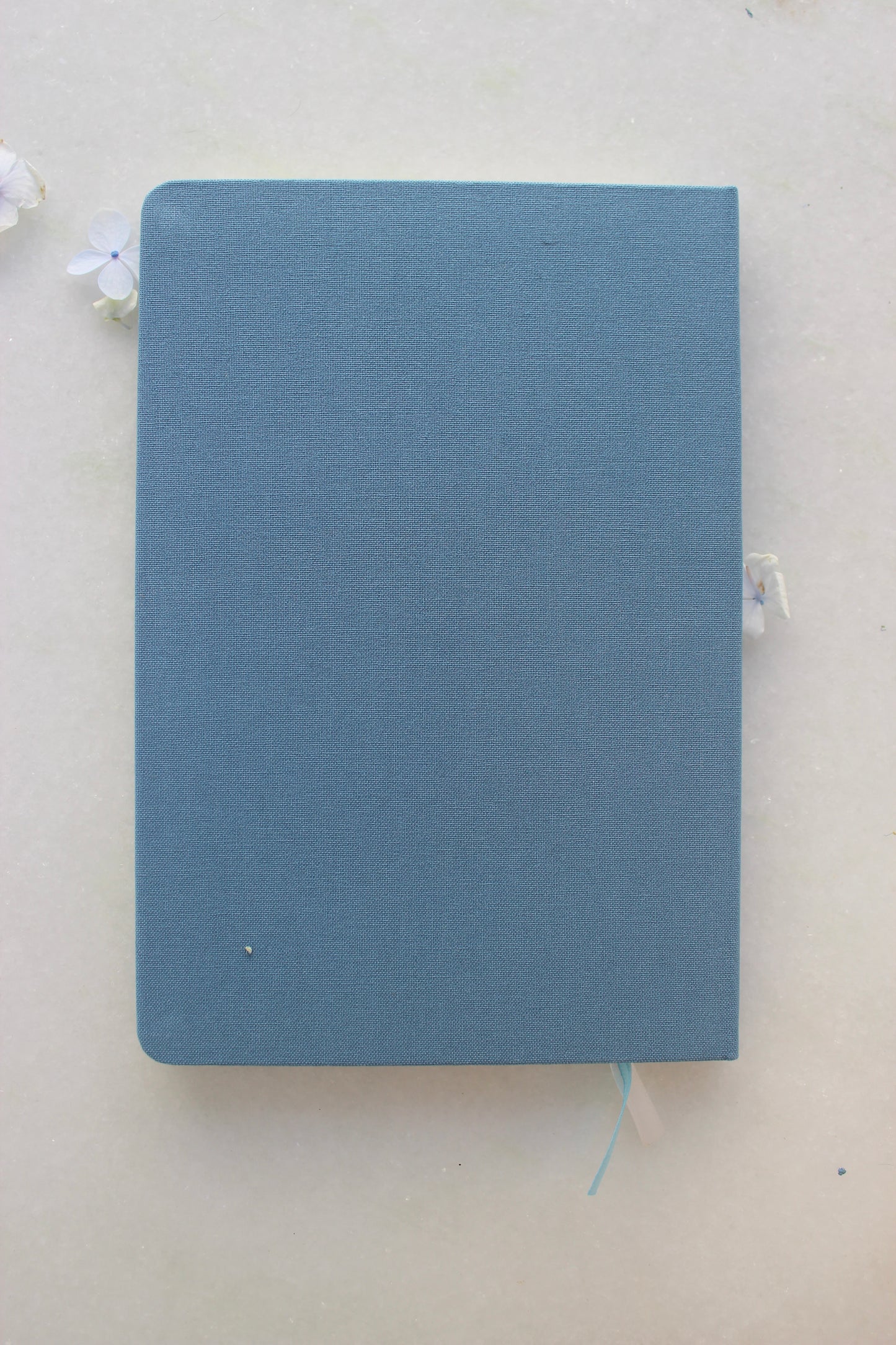 Journal - Expect Miracles