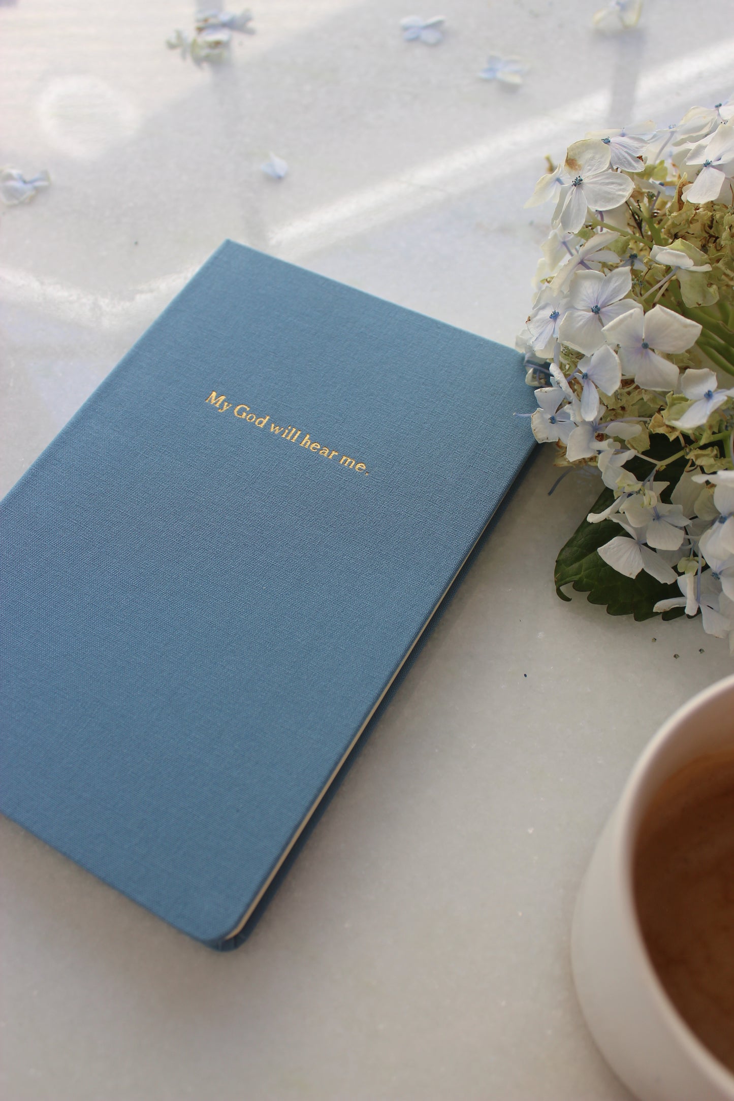 Journal - My God Will Hear Me