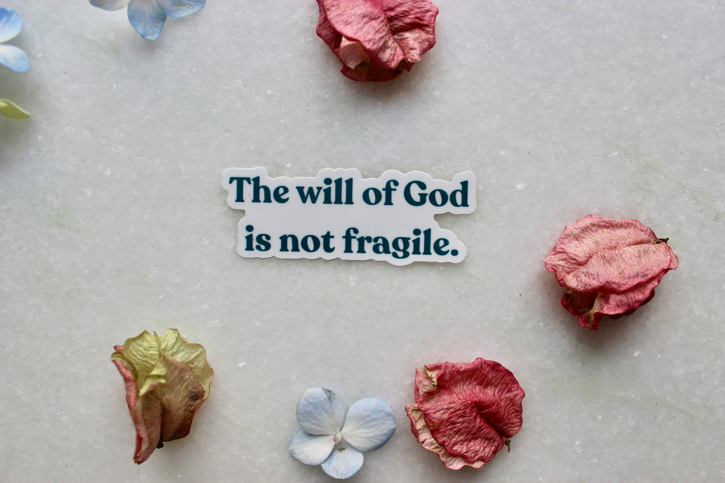 Sticker - The Will of God Is Not Fragile