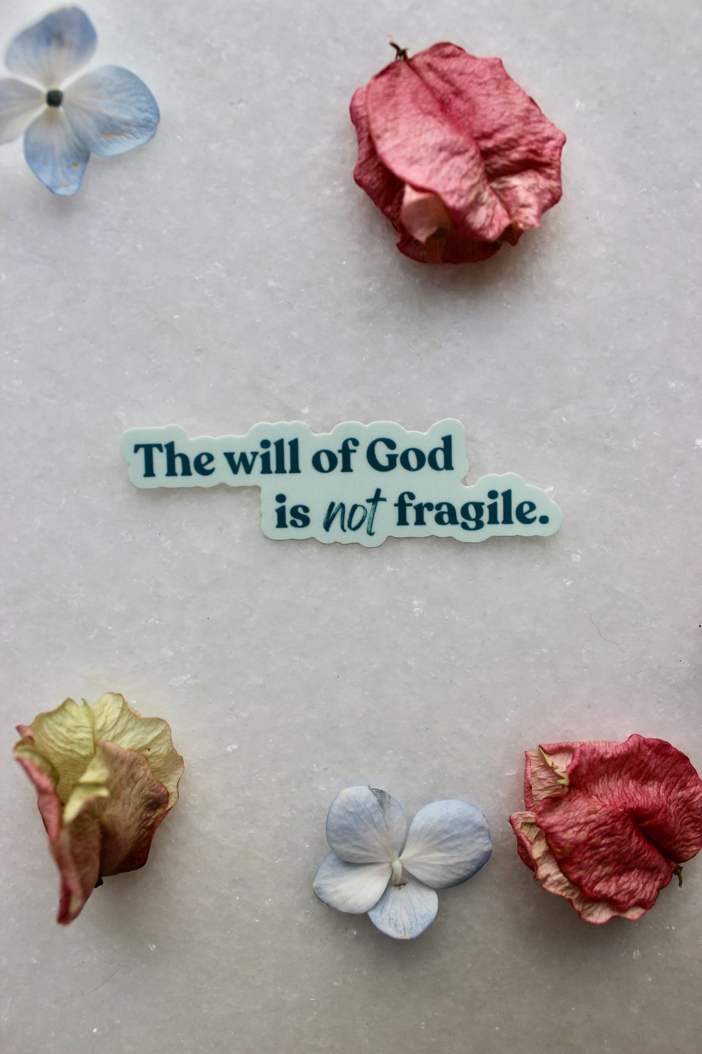 Sticker - The Will of God Is Not Fragile