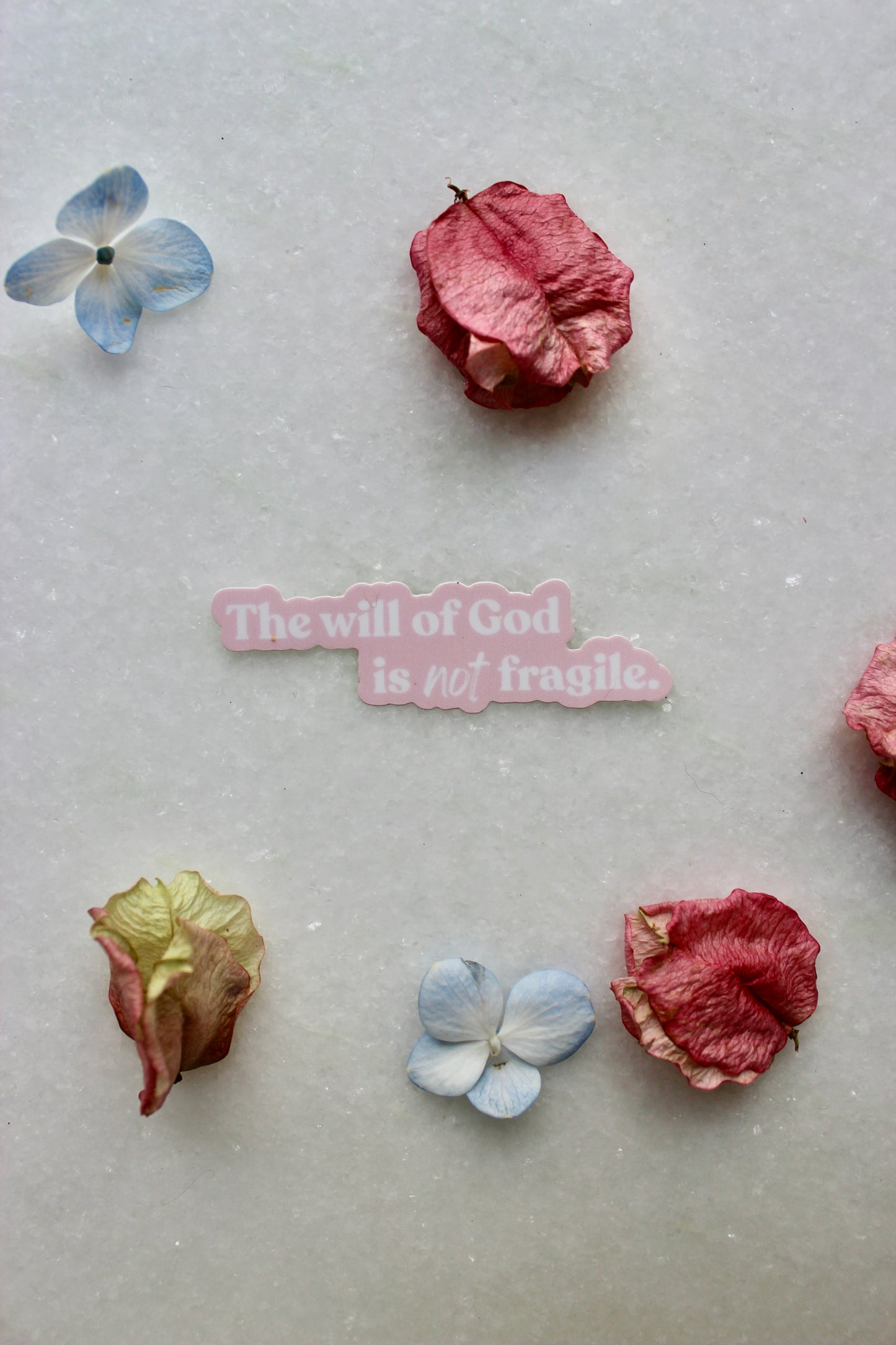 Sticker - The Will of God Is Not Fragile