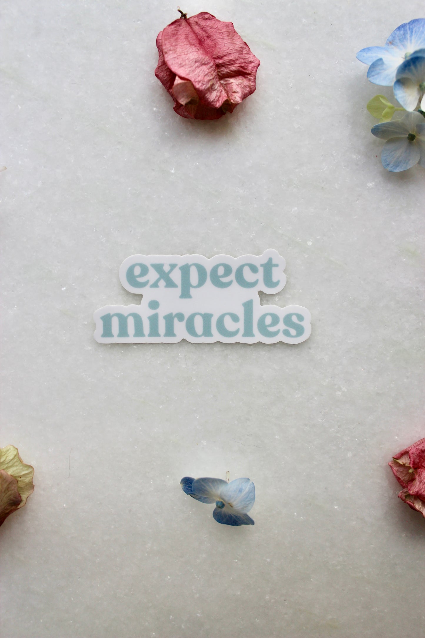 Sticker - Expect Miracles