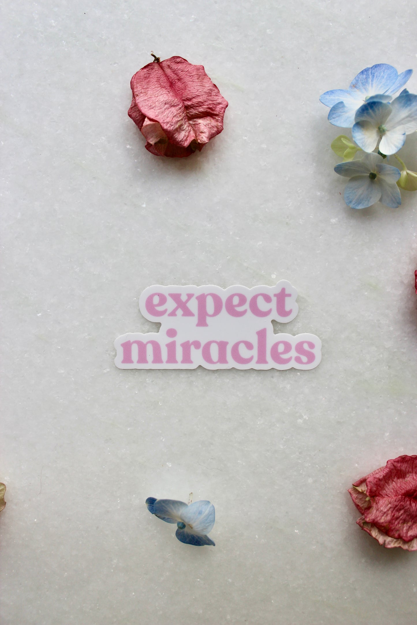 Sticker - Expect Miracles