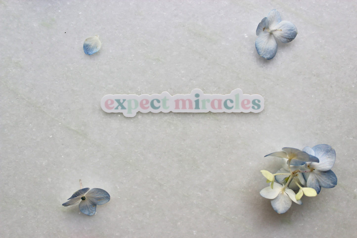 Sticker - Expect Miracles