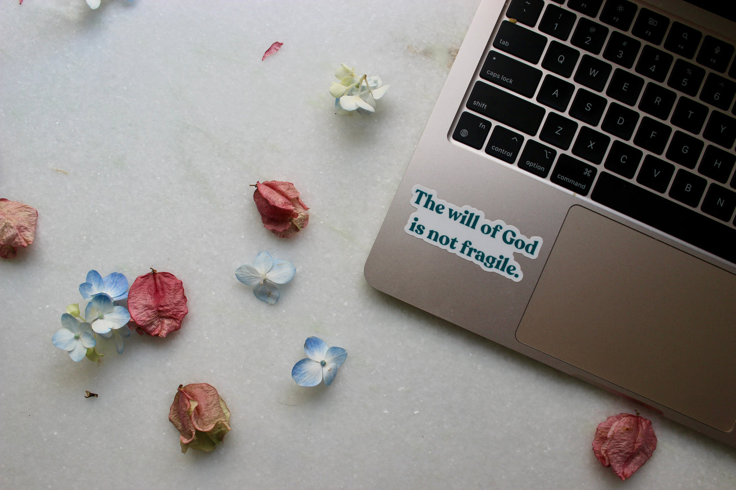 Sticker - The Will of God Is Not Fragile