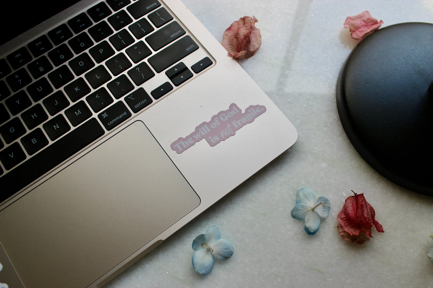 Sticker - The Will of God Is Not Fragile