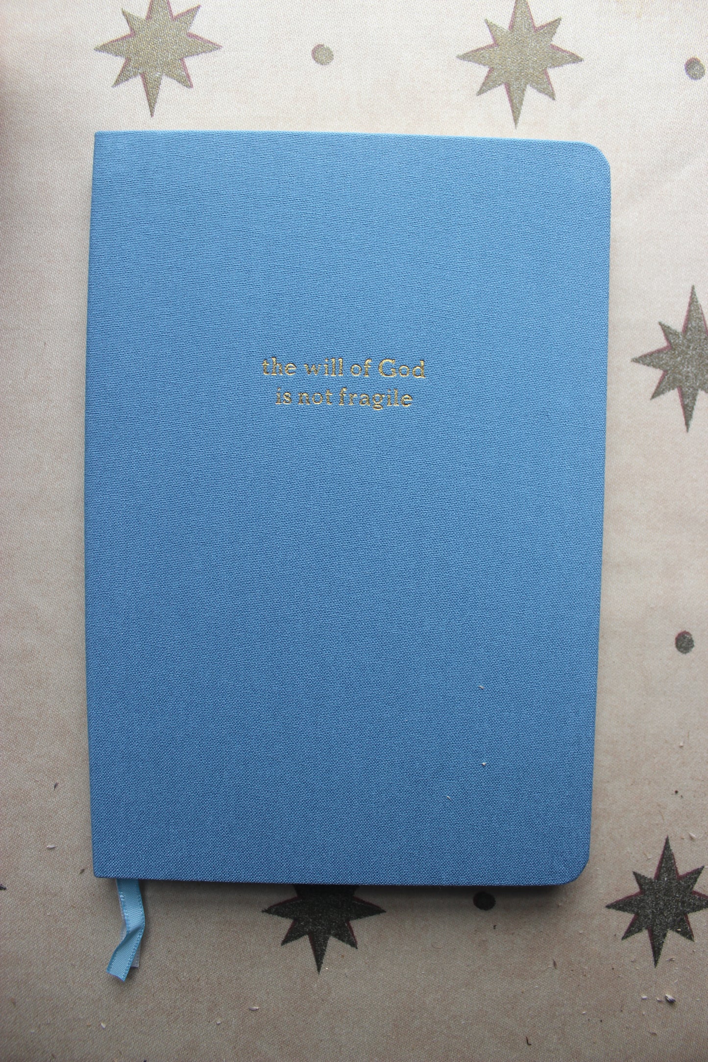 Journal - the will of God is not fragile