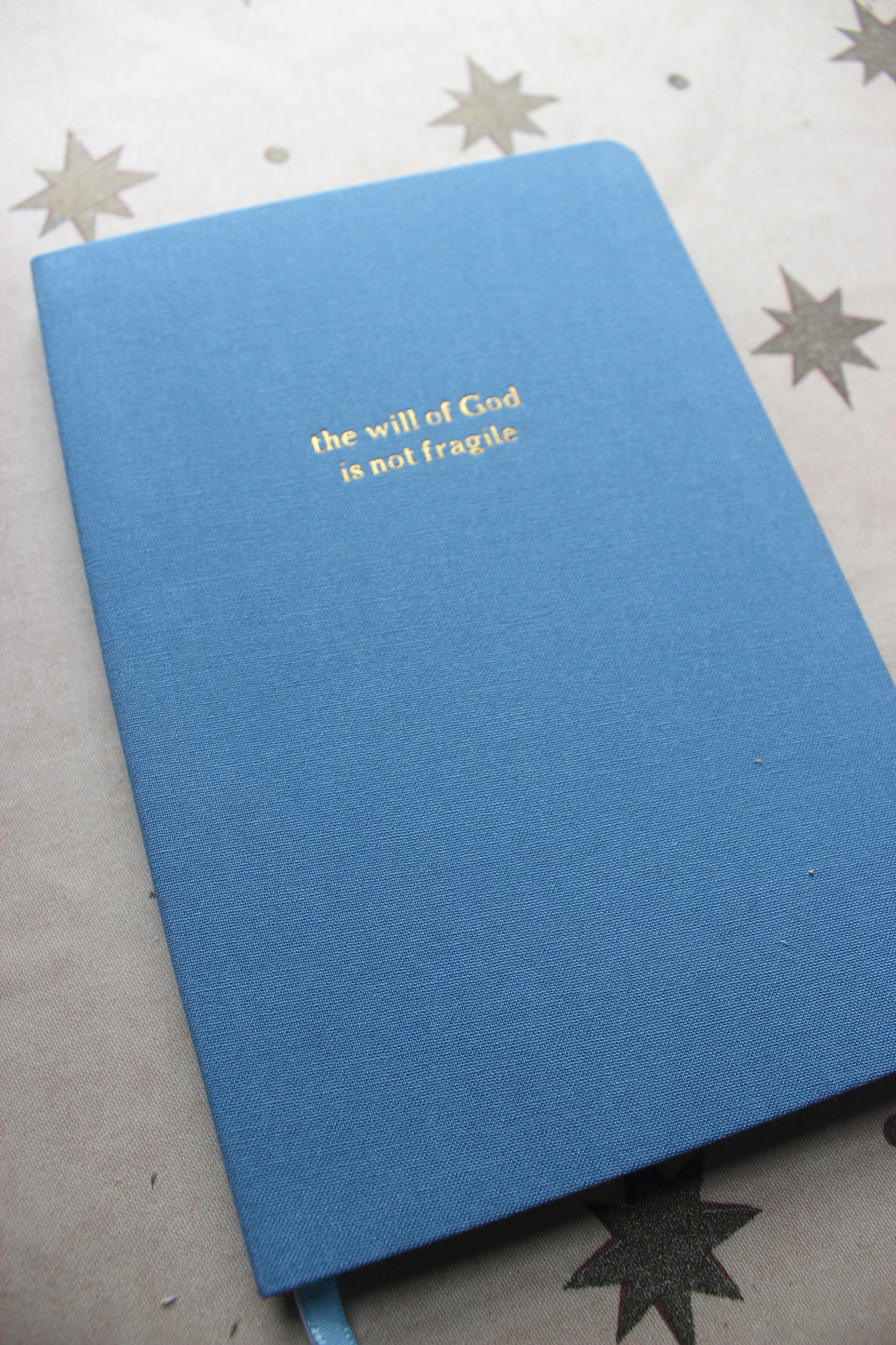 Journal - the will of God is not fragile