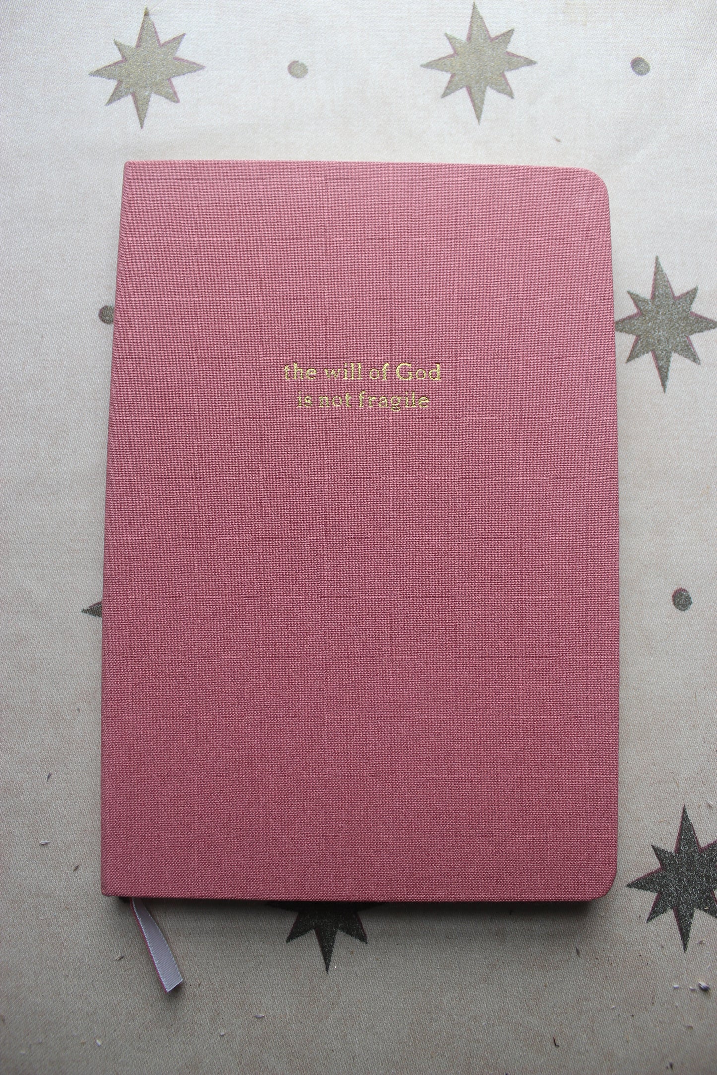 Journal - the will of God is not fragile